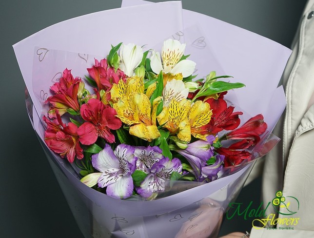 Bouquet of colorful alstroemerias photo